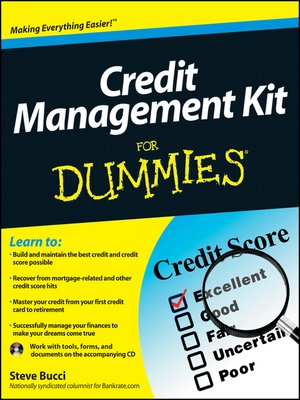 Credit Repair Kit for Dummies by Steve Bucci